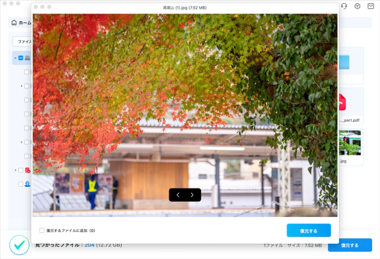 Recoveritのプレビュー画面