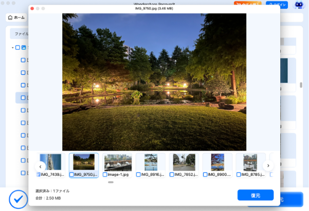 Recoveritのプレビュー画面