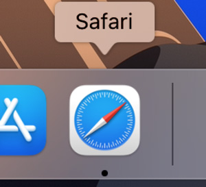 Safariブラウザを起動