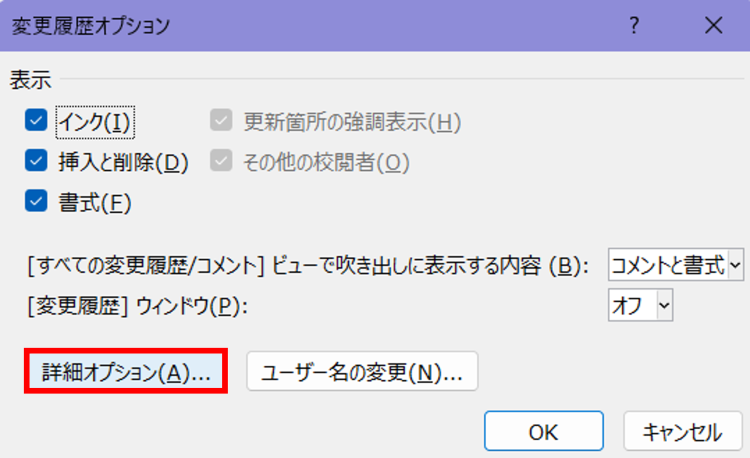 Wordの変更履歴に関する詳細オプションを選択する手順画面