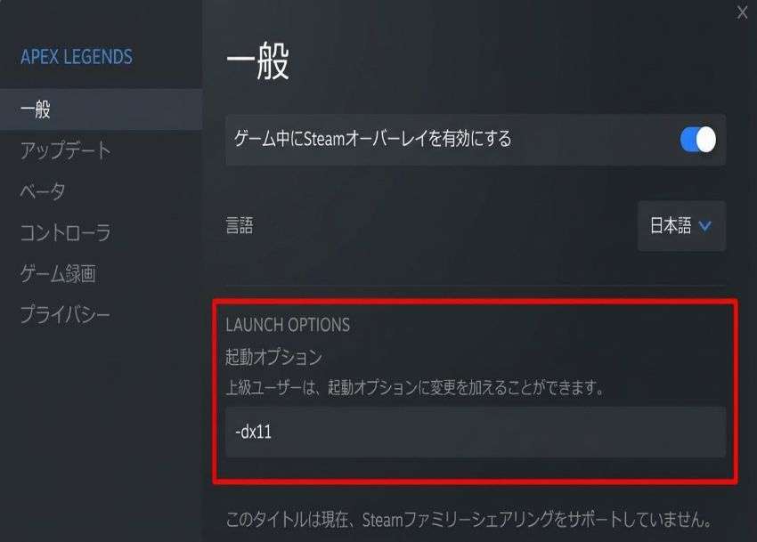 起動オプションに -dx11 を追加する